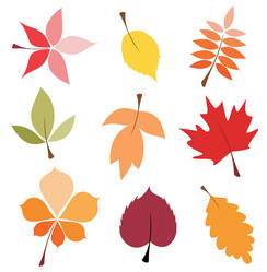 Similar image 8291171