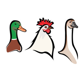 Similar image 8291209