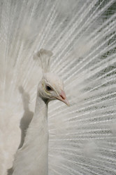 Similar image 8291345