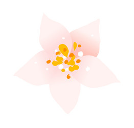 Similar image 8291521