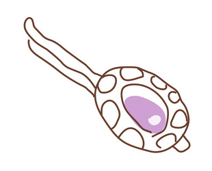 Similar image 8291692