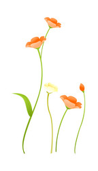 Similar image 8291904