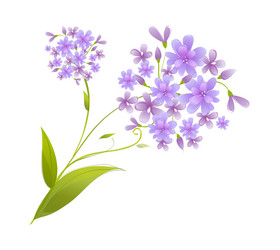 Similar image 8291955