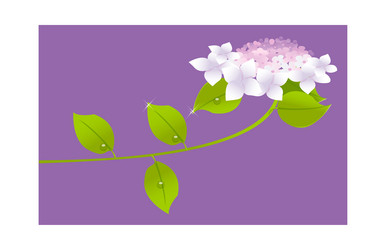 Similar image 8291962