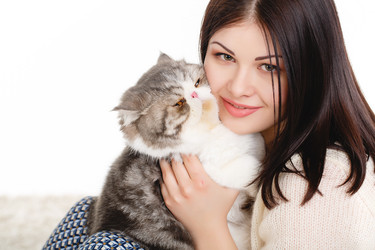 Similar image 8292316