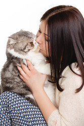 Similar image 8292317