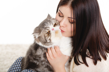 Similar image 8292318