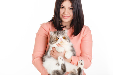 Similar image 8292438