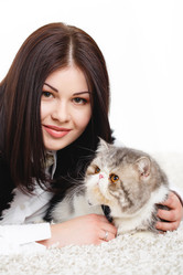 Similar image 8292447