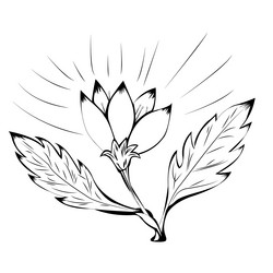 Similar image 8292467