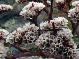 Similar image 8292565