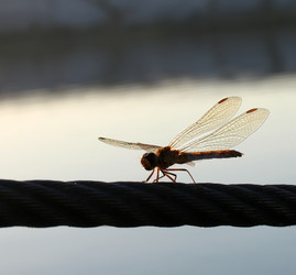 Similar image 8292612