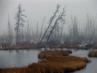 Similar image 8292686