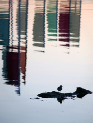 Similar image 8292803