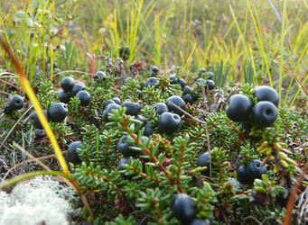 Similar image 8292825