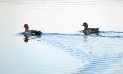 Similar image 8292843