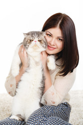 Similar image 8292916