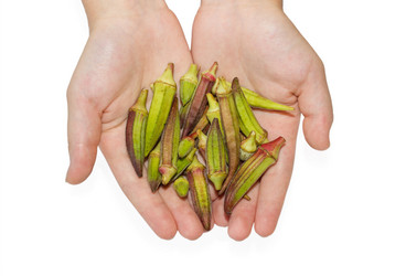 Similar image 8293091