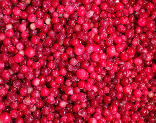 Similar image 8293092