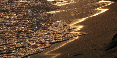 Similar image 8293110