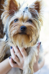 Similar image 8293194