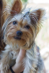 Similar image 8293196