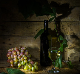 Similar image 8293197