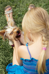 Similar image 8293215