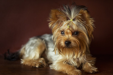 Similar image 8293217