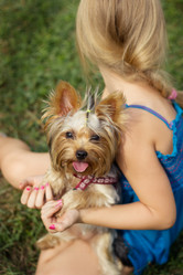 Similar image 8293223