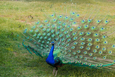 Similar image 8293238