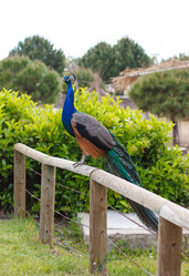 Similar image 8293269