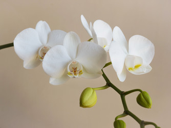 Similar image 8293276