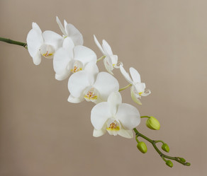 Similar image 8293277