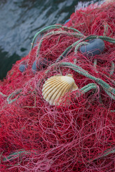 Similar image 8293286