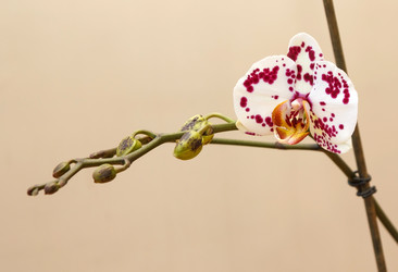 Similar image 8293294