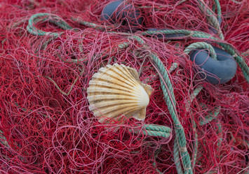 Similar image 8293312