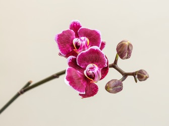 Similar image 8293314