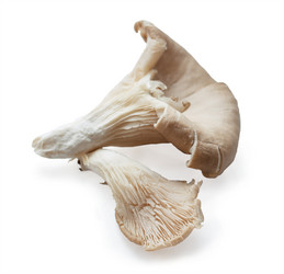 Similar image 8293315