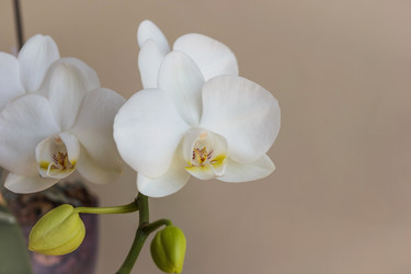 Similar image 8293321