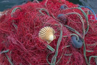 Similar image 8293328