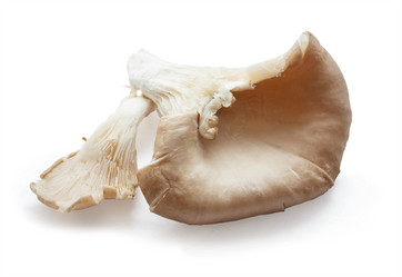 Similar image 8293329