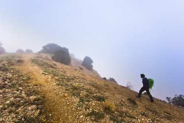 Similar image 8293432