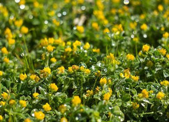 Similar image 8293454