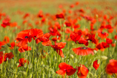 Similar image 8293504