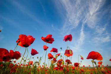 Similar image 8293507