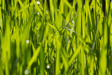 Similar image 8293510