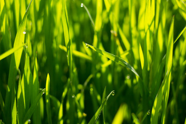 Similar image 8293511