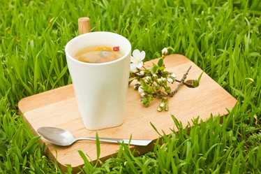 Similar image 8293516