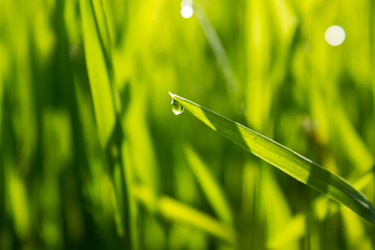 Similar image 8293536